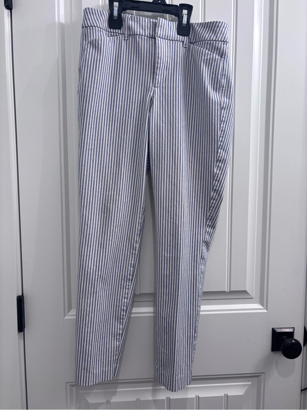 Women’s  Slim Stripe Dress Pants - Blue/White